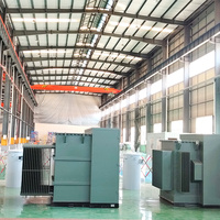 Transformador Trifásico Sumergido en Aceite de 1250kVA, 35kV, 400V, Montado en Plataforma, Certificado por ANSI, IEEE y CSA, para Plantas Industriales