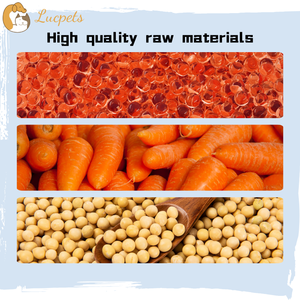 All-Stage Nutrition Foundation Pet Multivitamin Powder-Soporte inmunológico y salud de la piel y el abrigo-Compone deficiencias nutricionales - Product Image 2