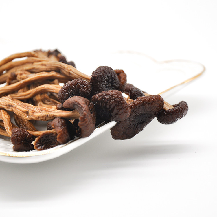 New Wholesale Dried Columnar Agroc Mushroom Agrocybe Cylindracea For Food