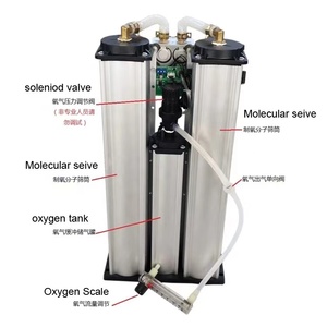 Industrial <strong>Oxygen</strong> <strong>Concentrator</strong> <strong>10</strong> LPM Pump Motor Molecular Zeolite Sieve Beds Tower Water Treatment Machinery Spare Parts Kits - Product Image 4