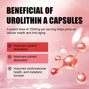 Suplemento para el Cuidado de la Salud, Cápsulas Veganas de Urolithin A para Adultos, Apoya la Energía Celular y el Metabolismo - Product Image 3