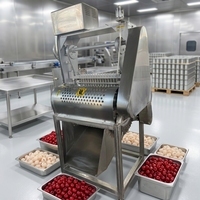 Machine automatique de dénoyautage de dattes, dénoyauteuse de dattes, machine de traitement des dattes, dénoyauteuse de graines de dattes, moteur en acier inoxydable 304