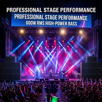 Subwoofer professionnel 15 pouces 600W RMS, haut-parleur PA avec bobine vocale 100mm et aimant métallique 250mm, durable pour système de sonorisation de scène de concert