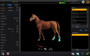 Equino rilevatore a schermo piatto Iray cavallo uso Wireless digitale schermo piatto Dr <span class=keywords><strong>Cr</strong></span> sistema veterinaria Xray Machine - Product Image 4