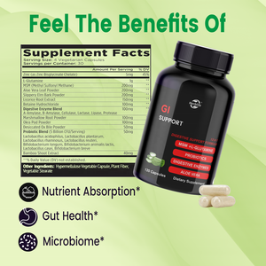 Haccp New Product Gut reinigung für Frauen und Männer, GI-Unterstützung mit MSM-, L-Glutamin-und Verdauungs enzym zusätzen - Product Image 2