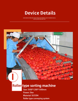 Ligne de production de l'usine de transformation industrielle de la pâte de tomate purée de tomate