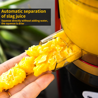 Extracteur Commercial Portable en Acier Inoxydable – Centrifugeuse Lente Automatique pour Jus d'Orange
