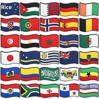 Meilleures ventes : Breloques de chaussures en PVC souple, drapeaux nationaux, boucles de chaussures DIY, décorations de chaussures drapeaux Maroc Algérie pour sandales