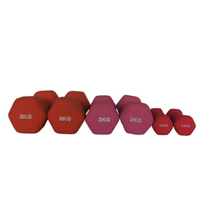 Lightweight Neoprene Dumbbells <strong>Set</strong> <strong>of</strong> Hex Shape Non Slip Hand <strong>Weights</strong> <strong>for</strong> <strong>Women</strong> Beginners Home Gym Yoga Fitness - Product Image 5