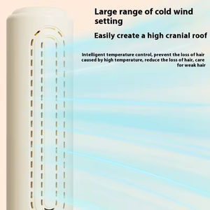 Cepillo Eléctrico 2 en 1 para Peinar el Cabello, Cerámico, con Flujo de Aire Iónico, Plancha de Pelo con Iones Negativos, Aire Frío y Caliente, Rizador de Pelo - Product Image 3