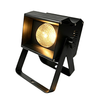 Mini projecteur LED COB 80W portable DMX512 blanc chaud/blanc froid 2-en-1 avec stroboscope pour mariage, événement, fête, location professionnelle