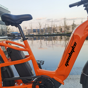 Vélo électrique 48V 250W Mid Drive avec batterie au lithium intégrée de 15ah pour la livraison de marchandises, entrepôt européen - Product Image 3