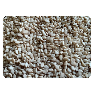 พืชใหม่ธรรมชาติเมล็ดงาสีขาวในราคาที่ต่ำที่มีการบรรจุในถุงที่แข็งแกร่งเมล็ดงาสีขาว - Product Image 1