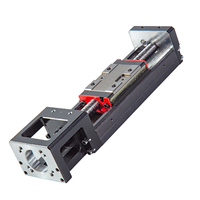 Zware Belasting Lineaire Actuator Elektrische Actuator Module Met Bal Schroef 200Mm Dragende Hoge Snelheid Hoge Precisie Auto-Matie systeem