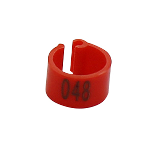 Rojo