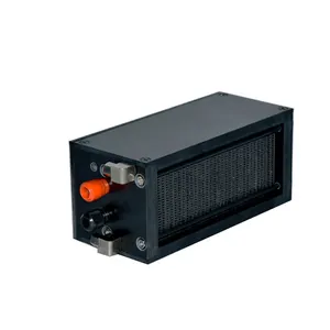 China Design 50W Fuel Cell Stack Air Cooling Hydrogen Fuel Cell
