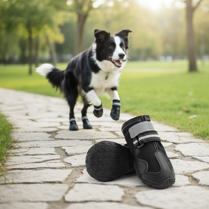 Ensemble collier, laisse et harnais lumineux pour chien, lumières élégantes, porte-clés « Je suis le patron », polyester doux, tendance, toutes saisons, pour les promenades nocturnes - Product Image 6