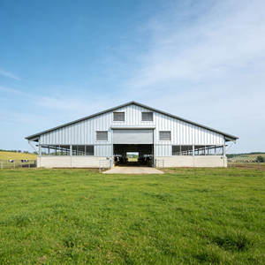 Prefab Steel Structure Cattle Sheds Light Steel Cattle Shed Light Steel Structure Cow House Farm - Product Image 2