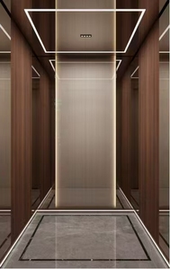 Lift Rumah untuk Vila, Apartemen - Bersertifikat CE, Desain Ringkas, Hemat Energi, Aman, Tenang, Instalasi Khusus - Product Image 3