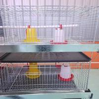 Nouveau produit phare : Cage à poulets compacte, conception de système d'élevage, anti-corrosion, poulailler de couvaison, cage à volailles en batterie