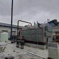 Chaudière à vapeur à biomasse à circulation naturelle horizontale basse pression pour usine de traitement industrielle de bagasse de canne à sucre