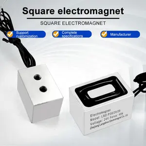 Elektromagnet LSD-P30/20/20 Rechteck Elektromagnet IP65 elektromagnetischer Magnet-Soleinoid-Sauger Magnet Spule Magnet-Spule Wickelung