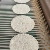 Presse à tortillas électrique automatique avec convoyeur à bande continue pour tortillas mexicaines, tacos et burritos