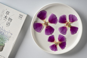 หน้ากาก Godetia Farewell To Spring ทำบัตรเครื่องประดับเรซินพืชธรรมชาติเป็นมิตรกับสิ่งแวดล้อมจริงกดดอกไม้ - Product Image 4