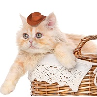 12 mini-chapeaux de cowboy pour bouteilles de vin, décorations de fête disco, cadeaux pour enterrement de vie de jeune fille et enterrement de vie de jeune fille des mariées