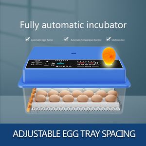 Vendita di prodotti a caldo 16-36 Mini <span class=keywords><strong>incubatrice</strong></span> automatica <span class=keywords><strong>per</strong></span> uova di tacchino di struzzo d'oca di pollo nuove attrezzature <span class=keywords><strong>per</strong></span> l'agricoltura - Product Image 5