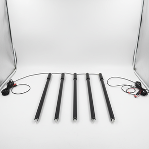 Электрический линейный актуатор большой грузоподъемности с синхронным управлением по датчикам Холла, 6000Н, для автодомов, ход 850 мм, с дистанционным управлением, двигатели постоянного тока - Product Image 4