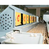 Prezzo di fabbrica pollo pollame attrezzature agricole zootecnia macchina automatica per la raccolta di uova
