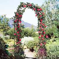 Pergola en métal à assembler librement pour diverses plantes grimpantes, arche de jardin pour mariage, décoration de fête nuptiale, arche large