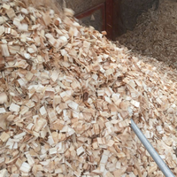 Copeaux de bois naturels OEM de haute qualité, couleur bois, provenance Vietnam, pour combustible biomasse, bioénergie, biochimie, teneur en cendres 3%, humidité 15%