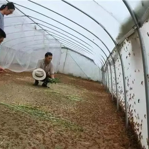 100gsm châu chấu châu chấu chăn nuôi chuyên nghiệp nhựa Net 40 lưới dày Côn trùng Net cuộc sống cao - Product Image 1