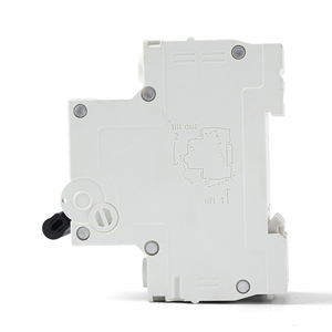 <span class=keywords><strong>Disyuntor</strong></span> MCB 2 polos 2 P doble Polo 6/10/16/<span class=keywords><strong>20</strong></span>/25/32/40/50/63/125 amperios AC DC mini disyuntores eléctricos en miniatura de 2 polos - Product Image 2