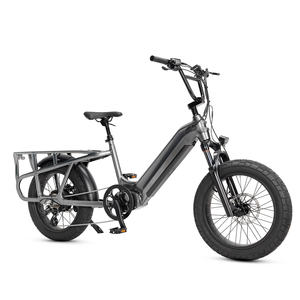 Vélo cargo électrique à deux roues le plus populaire de Mario pour la famille - Product Image 4
