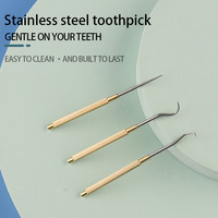 Ensemble de soins dentaires 3 pièces en acier inoxydable | Kit de cure-dents réutilisable et portable pour le voyage/la maison | Antibactérien et écologique