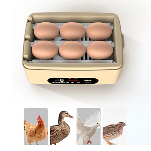 Incubadoras de Huevos USB Automáticas y Eficientes de 6 Piezas, Nueva Unidad de Plástico para Pollos, Patos, Palomas, Codornices, Aves y Emúes - Product Image 5