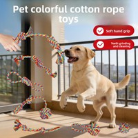 Jouet à mâcher durable en corde de coton arc-en-ciel pour chien avec nœuds, jouet de traction pour le nettoyage des dents des chiots