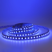 Tira de Luces LED DMX512 5050RGB USB de Alta Calidad Personalizada, 16.3 pies (5 metros), DC24V, Flexible, Programable, Direccionable, IP67