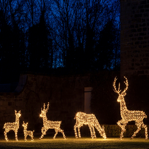 Grand renne de Noël d'extérieur avec lumières LED pour la décoration de jardin - Product Image 1