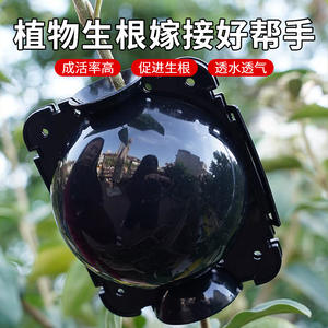 Bolas de Propagación de Plástico de Alta Presión Directas de Fábrica para Injerto de Árboles de Jardín, Herramientas para Bonsái, Incluye Cajas de Propagación por Corte - Product Image 2