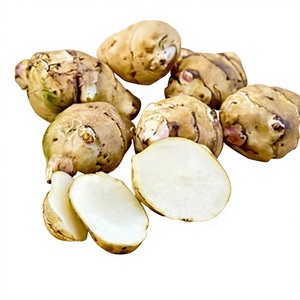 Extrait de racine d'artichaut de Jérusalem, complément alimentaire naturel à base de plantes pour la santé digestive, le soutien de la glycémie, le bien-être prébiotique - Product Image 1