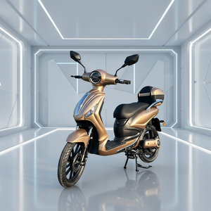 Moped/Scooter électrique pas cher 48V 1000W L1e EEC COC avec batterie au lithium personnalisée pour adultes 40-60 km/h - Product Image 1
