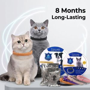 Collar Antipulgas Natural para Gatos OEM ODM, Personalizado, No Grasoso, Atrapa Insectos y Piojos, para el Bienestar <span class=keywords><strong>de</strong></span> Gatitos en Interiores y Exteriores - Product Image 5