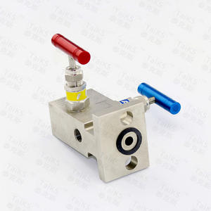 Collecteurs à deux vannes de type T fournis par le fabricant, composant clé pour les vannes de régulation - Product Image 3