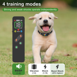 Nuevo <span class=keywords><strong>Collar</strong></span> de Adiestramiento Eléctrico Inteligente con Control Remoto, <span class=keywords><strong>Collar</strong></span> de Adiestramiento Ajustable e Impermeable para Múltiples Perros - Product Image 4
