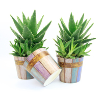 Pots de plantes à fleurs, Logo personnalisé imprimé, tasses en papier pour décoration de bureau