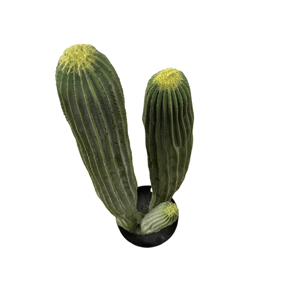 Chuangfa 70cm PU xương rồng nhân tạo Hot Bán buôn tùy chỉnh giá rẻ Nhựa mô phỏng cây sa mạc cho nhà trong nhà cho - Product Image 6